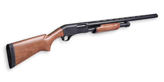 types de la mesure 3.75kg 12 de fusils de chasse d'action de pompe pour la chasse